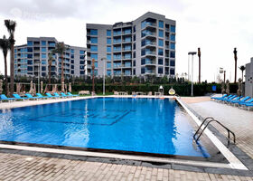 Image for Adults Swimming Pool in MAG 555