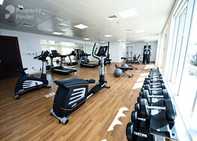 Image for Gym in ART IX
