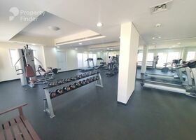 Image for Gym in wasl Link