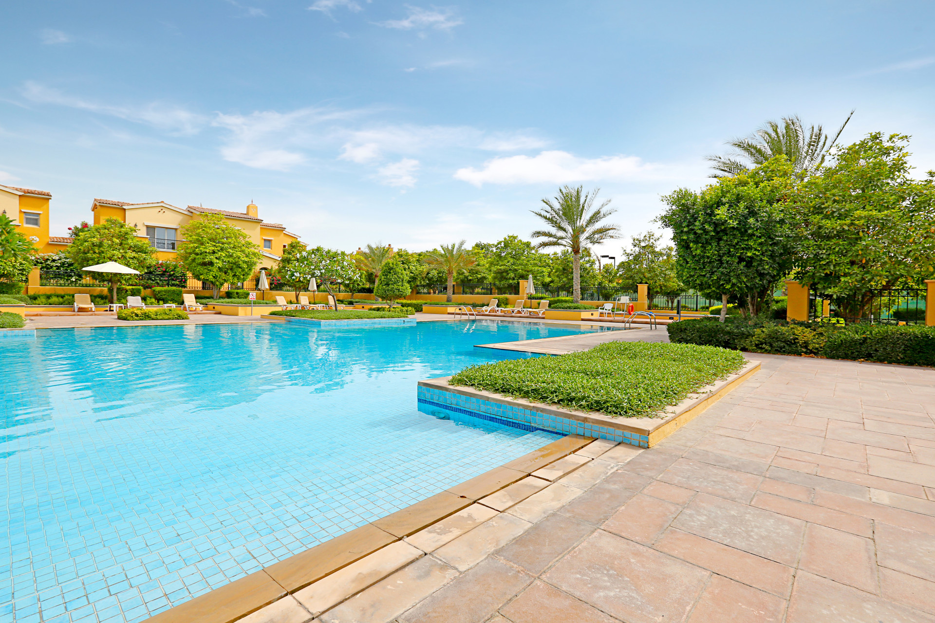 Palmera 3