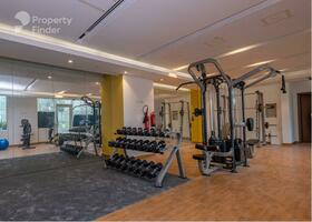 Image for Gym in The Binary Tower