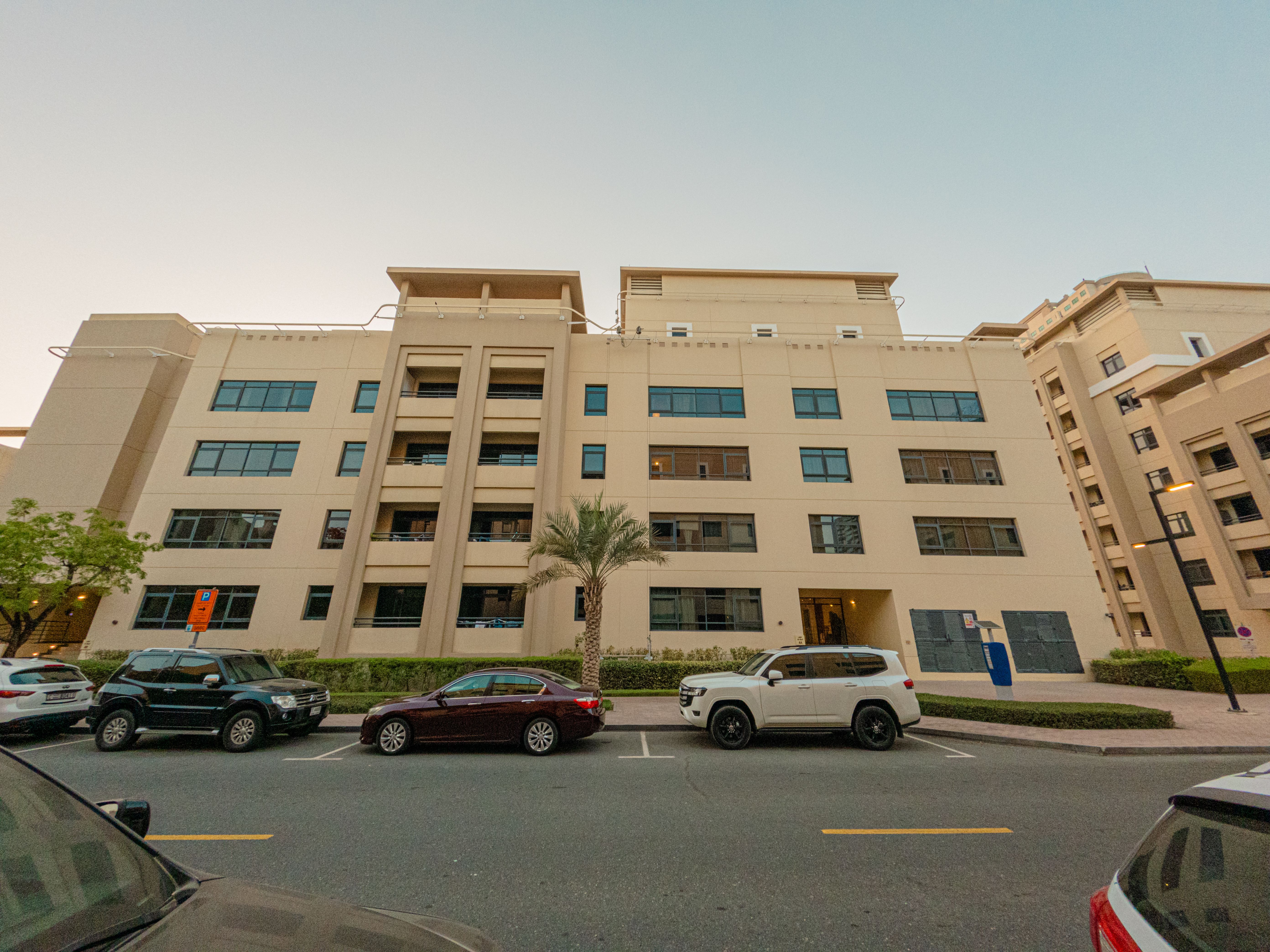 الغاف 4