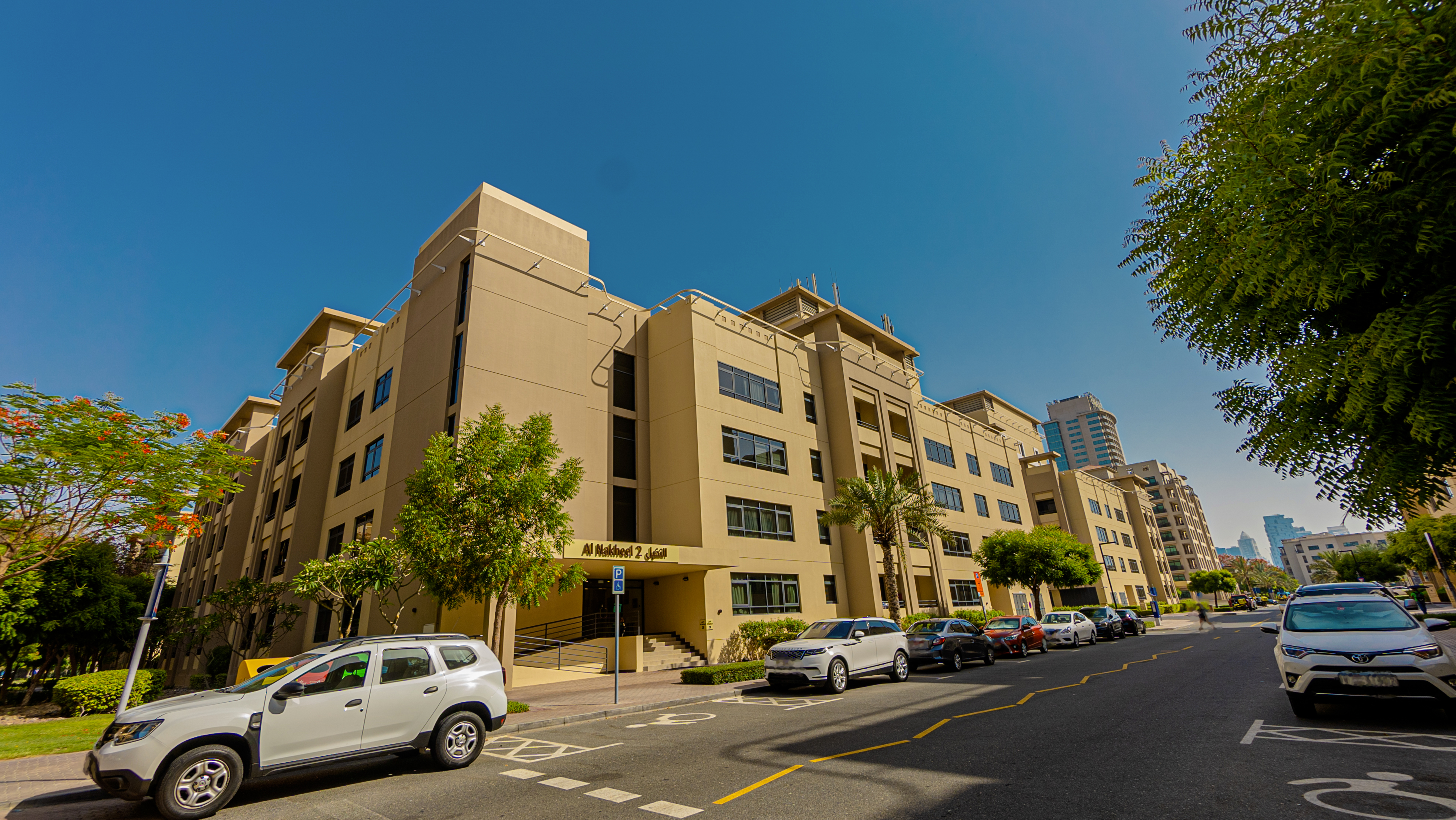 النخيل - 2