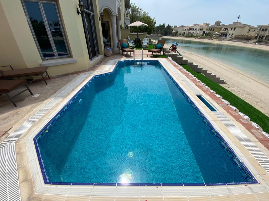 A جاردن هومز سعفة
