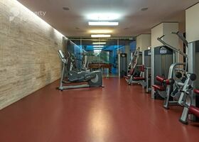 Image for Gym in Signature Villas Frond D