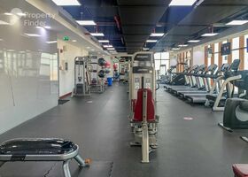 Image for Gym in Palm Views East