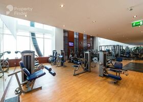 Image for Gym in Maze Tower
