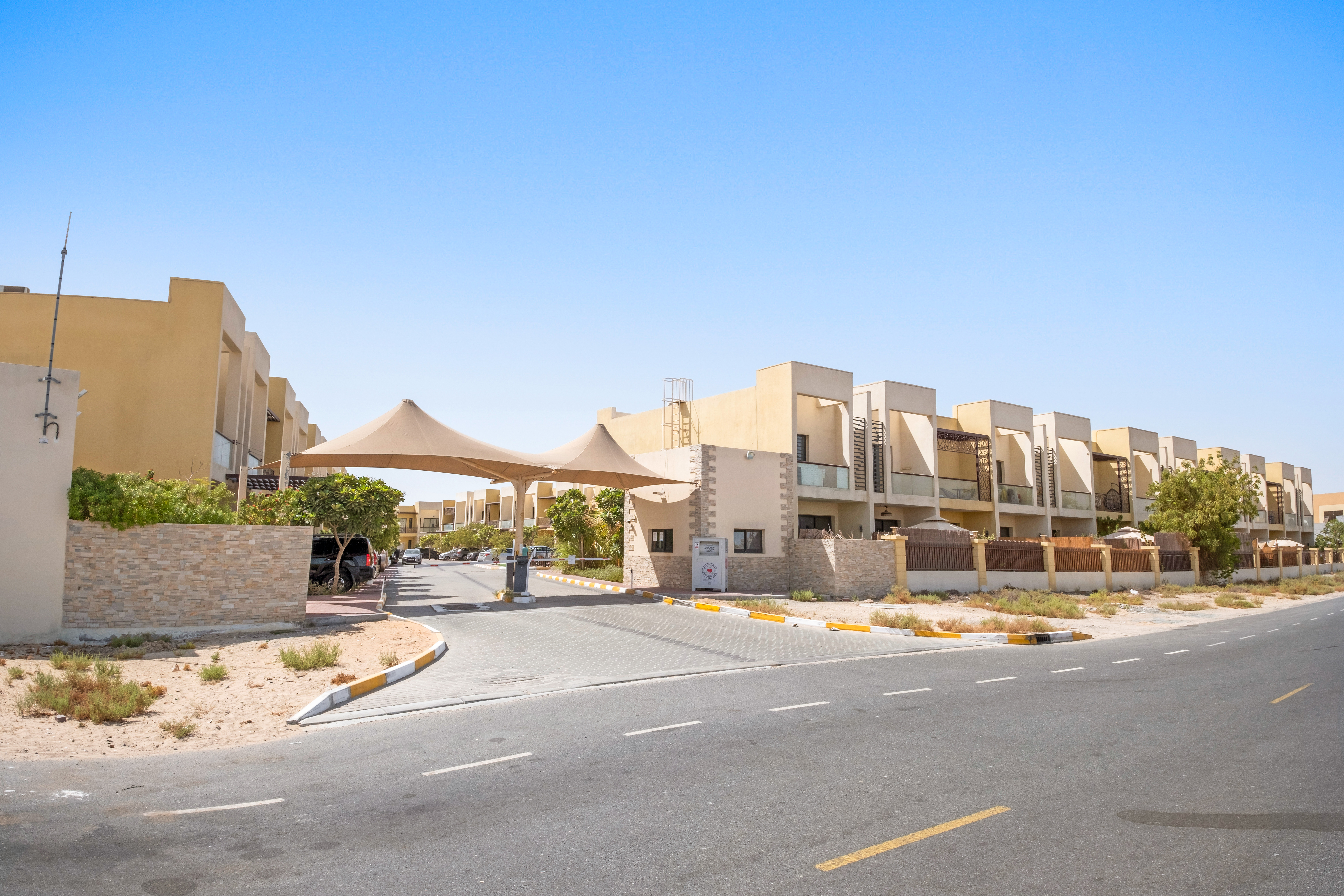 Sahara Meadows 2