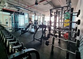 Image for Gym in Studio One