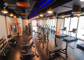 Image for Gym in Nasayem Avenue