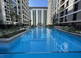 Image for Adults Swimming Pool in Wilton Terraces 2