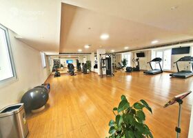 Image for Gym in Vincitore Palacio