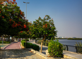 Image for  in Dafan Al Khor