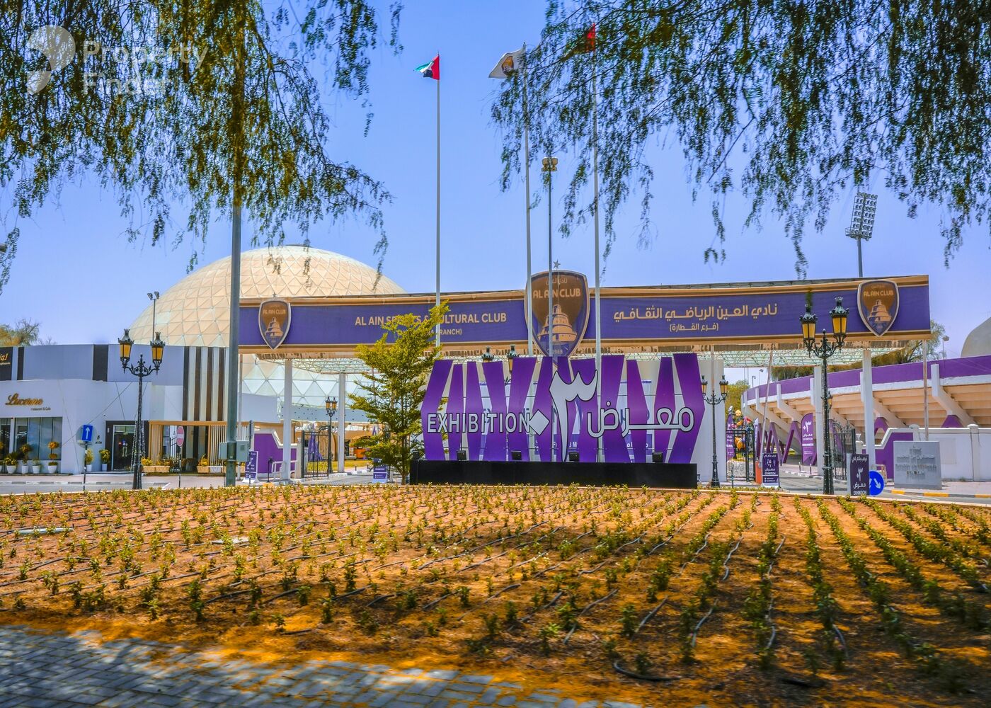 Gallery mosaic item small first