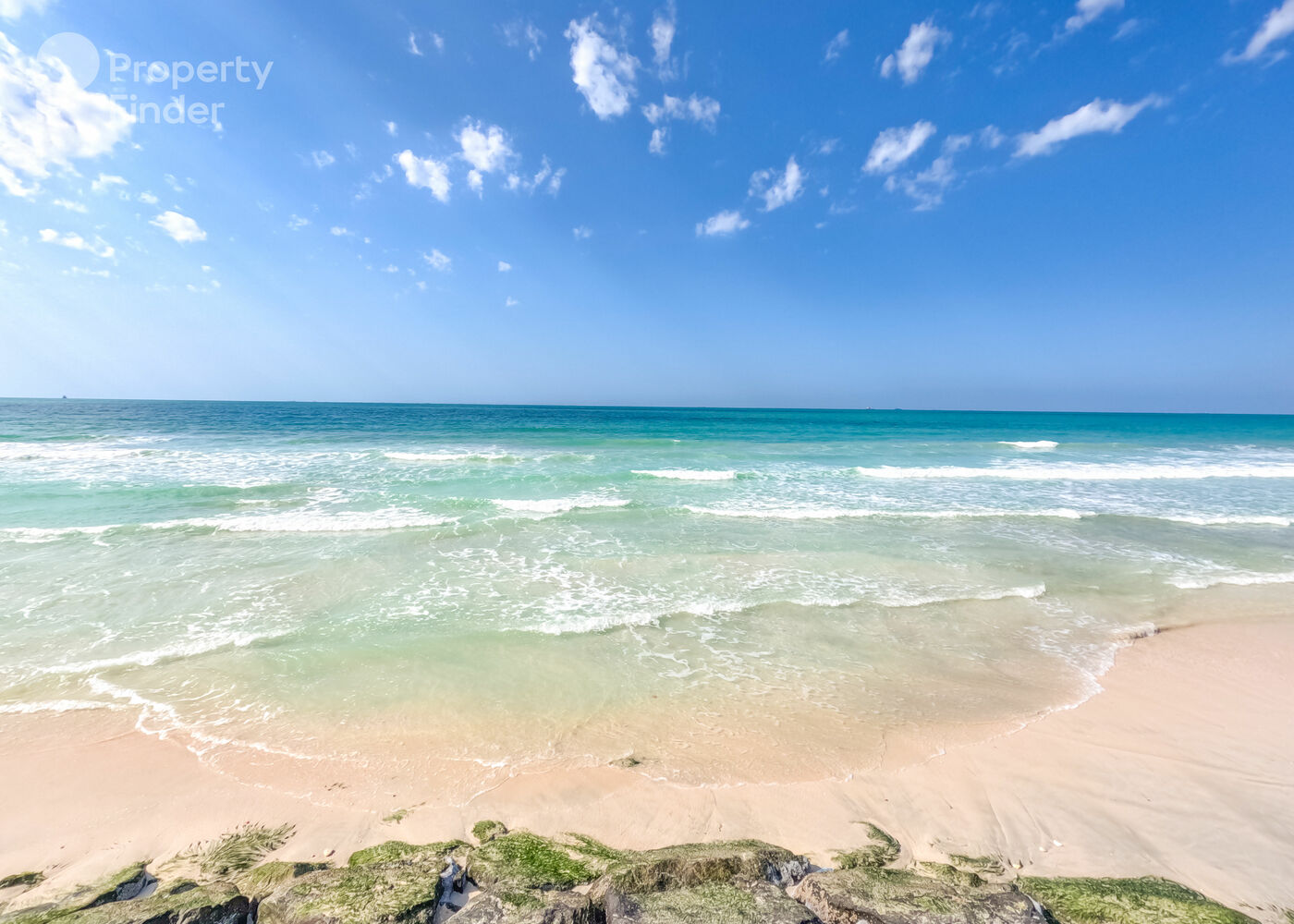 55757108 - Property Image 3