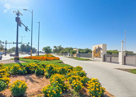صورة لـ  في المطارد