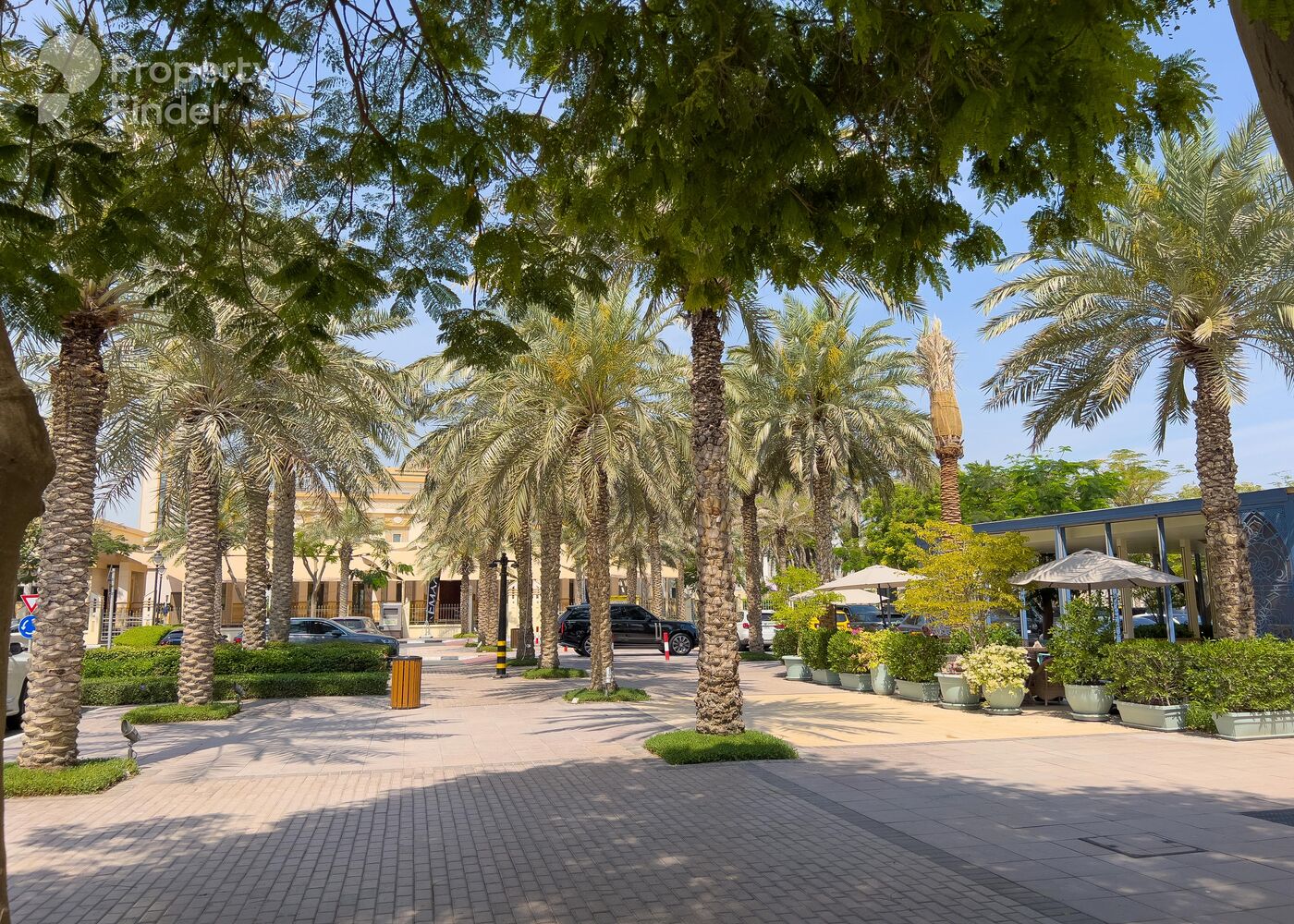 صورة لافتة لـ ميدوز