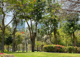 Image for Community Overview in Al Kifaf
