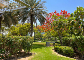 Image for Nearby Attractions in Al Kifaf