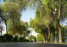 Image for  in Al Yasmeen