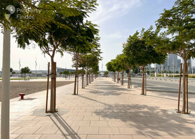 Image for  in Dubai Harbour