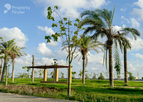 Image for نبذة عن المنطقة in New Mansoura