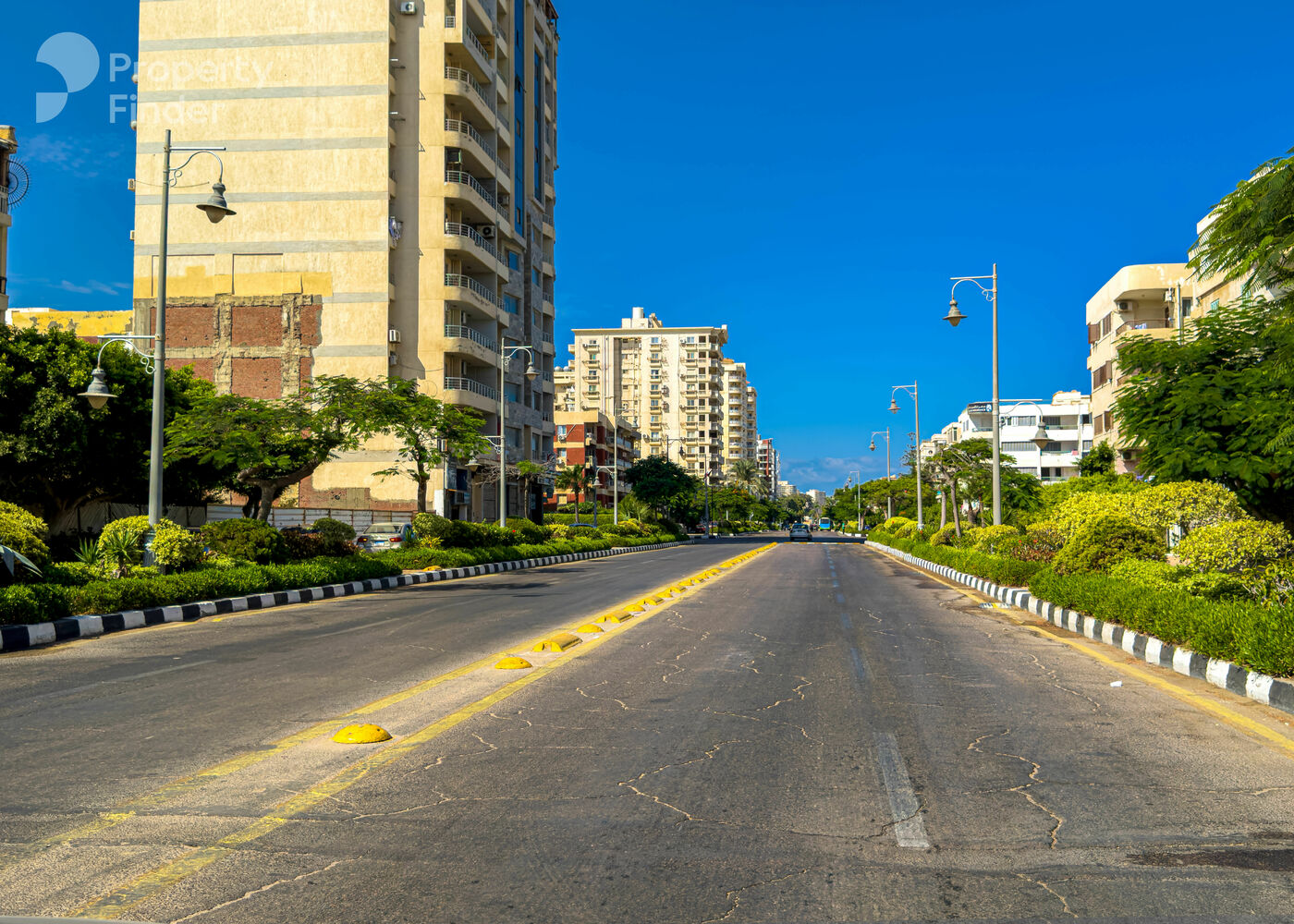 Hero banner image for Alexandria Compounds