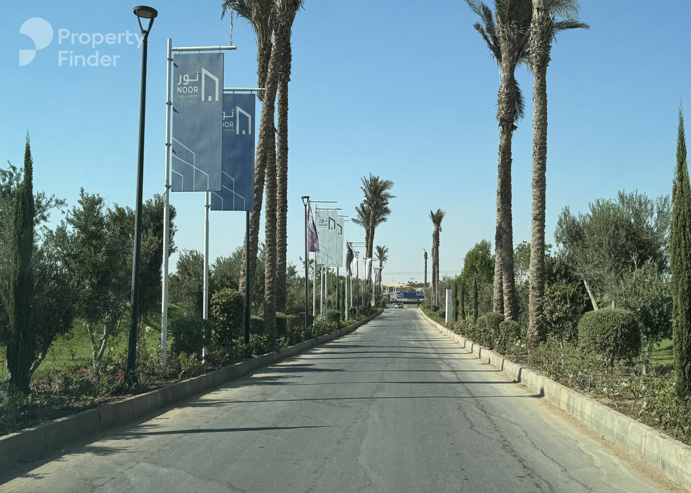 Hero banner image for Noor City