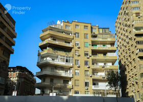 Image for  in Zamalek