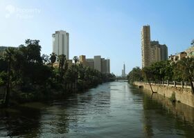 Image for  in Zamalek