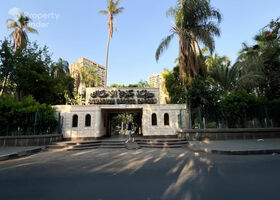 Image for  in Zamalek