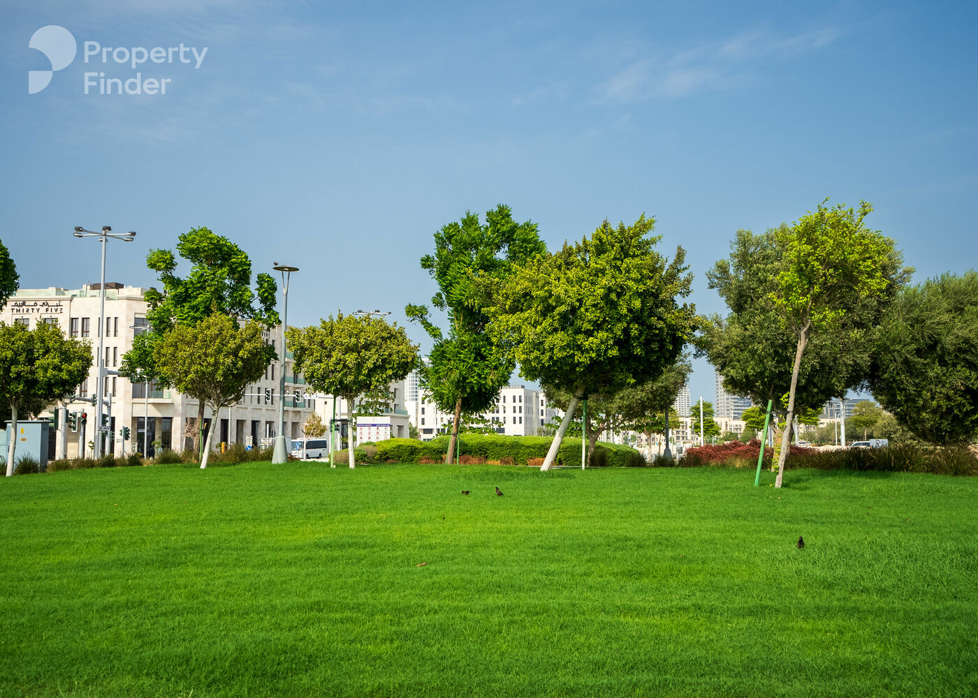 61223619 - Property Image 3